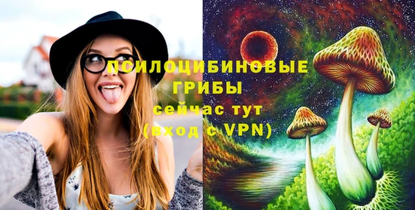 PSILOCYBIN Гусь-Хрустальный